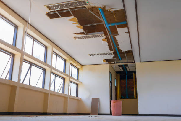 Best Water damage restoration mold remediation  in Bedford, VA