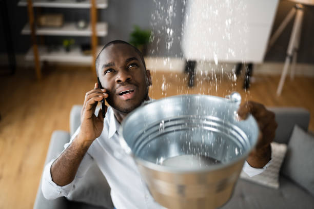 Best Fire Damage Restoration  in Bedford, VA