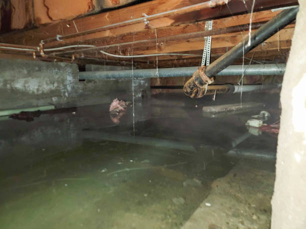 Best Water damage restoration near me  in Bedford, VA
