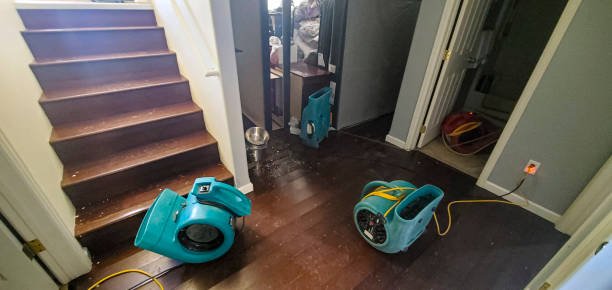 Best Mold removal after water damage  in Bedford, VA