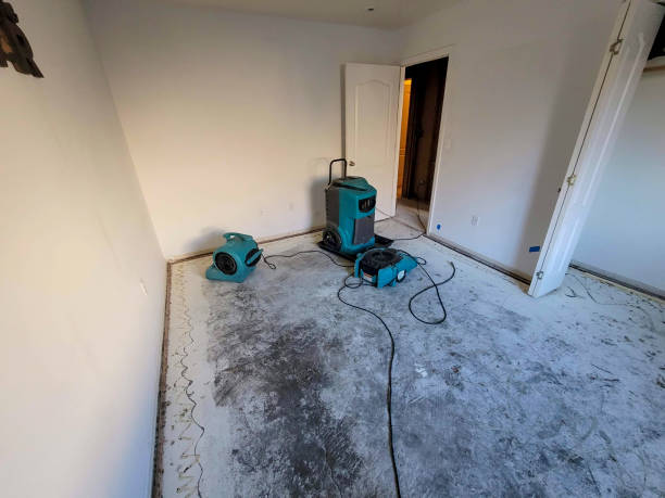 Best Ceiling water damage repair  in Bedford, VA