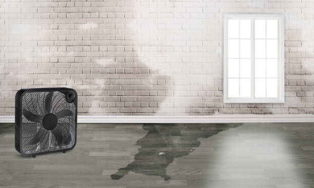 Water damage restoration experts in VA