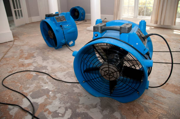 Best Flooded house restoration  in Bedford, VA