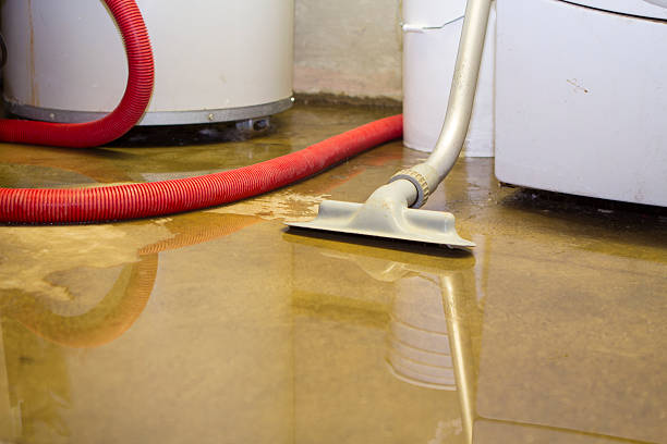 Best Flood restoration services  in Bedford, VA