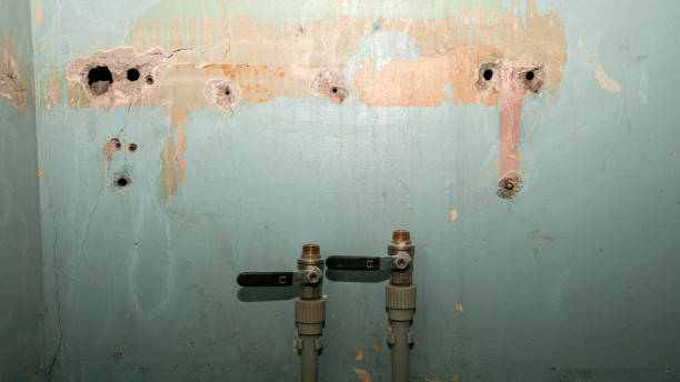 Best Professional water damage repair  in Bedford, VA