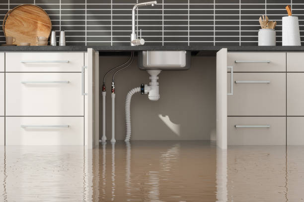 Best Sewage cleanup and water damage restoration  in Bedford, VA