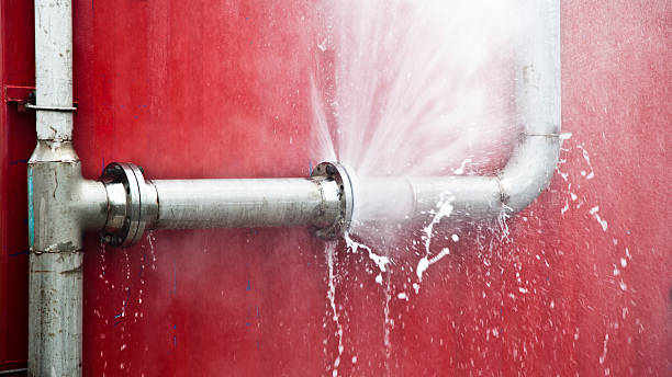 Best Water damage cleanup near me  in Bedford, VA